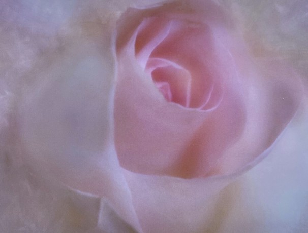 Calendar Flowers 2021